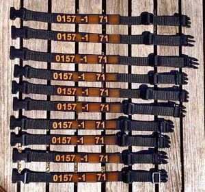 "Bring me back"-Halsband