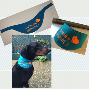 Halstuch für Vermittlungshunde