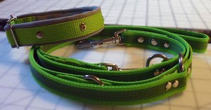 Halsband + Leine-Set, gummiertes Gurtband, kiwigrün